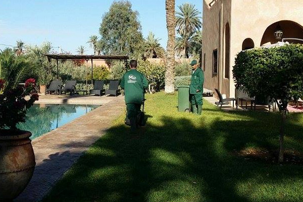 Garden maintenance in Marrakech and everywhere in Morocco