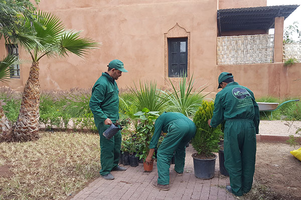 Création des jardins à Marrakech
